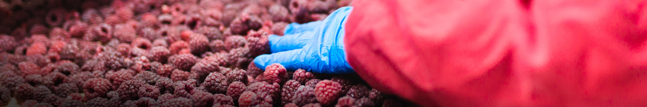 Frozen fruits Frozen fruits